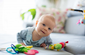 1638387279 imagen ndp 