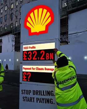 dl only shell profits