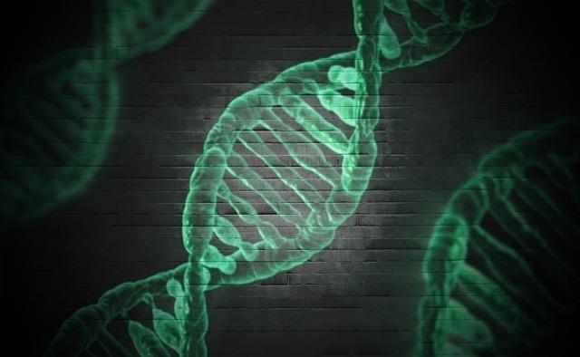 ep adn genes genetica 20180215112702
