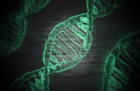 ep adn genes genetica 20180215112702