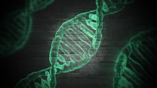 ep adn genes genetica 20180215112702