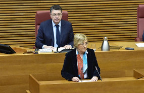 ep ana barcelo en su comparecencia en les corts