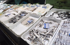ep archivo bacaladillas expuestas en una pescaderia de un mercado en madrid espana ep archivo bacaladillas expuestas en una pescaderia de un mercado en madrid espana