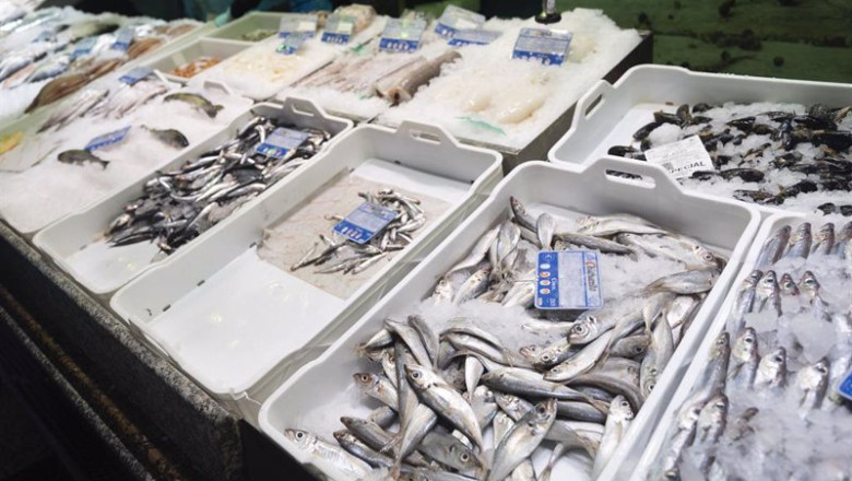 ep archivo bacaladillas expuestas en una pescaderia de un mercado en madrid espana ep archivo bacaladillas expuestas en una pescaderia de un mercado en madrid espana