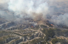 ep incendio forestalperdigueralecinena enprovinciazaragoza