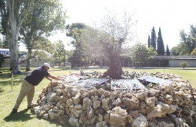 ep los actosseptimo aniversarioaccidente spanair