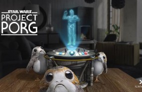 ep proyect porg permiteun porgmascota