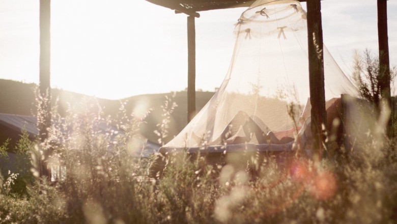 presley roozenburg gklfv5avr4c unsplash