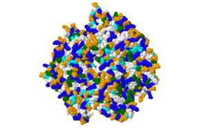 proteina imagen mosaic q