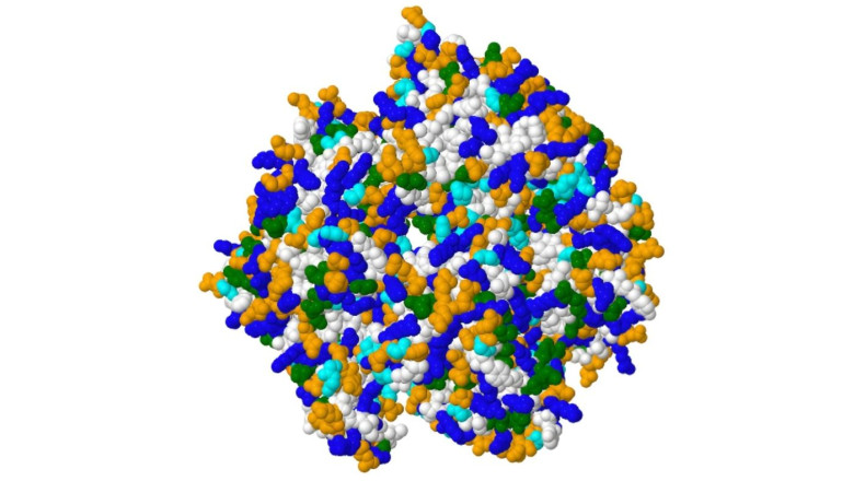 proteina imagen mosaic q