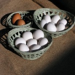 saupload_diversification1-300x225 saupload_diversification1-300x225