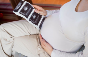 trimestres olvidados