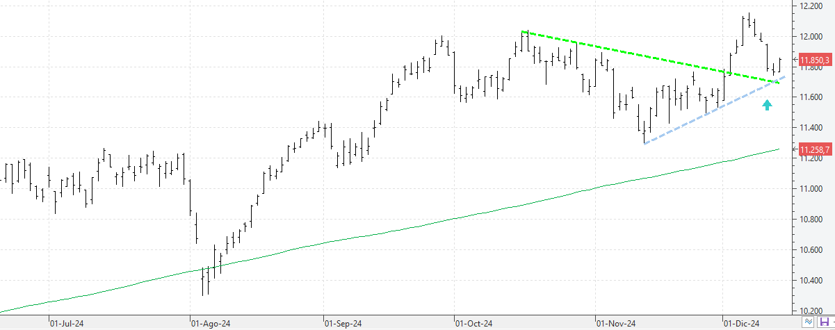 151224ibex