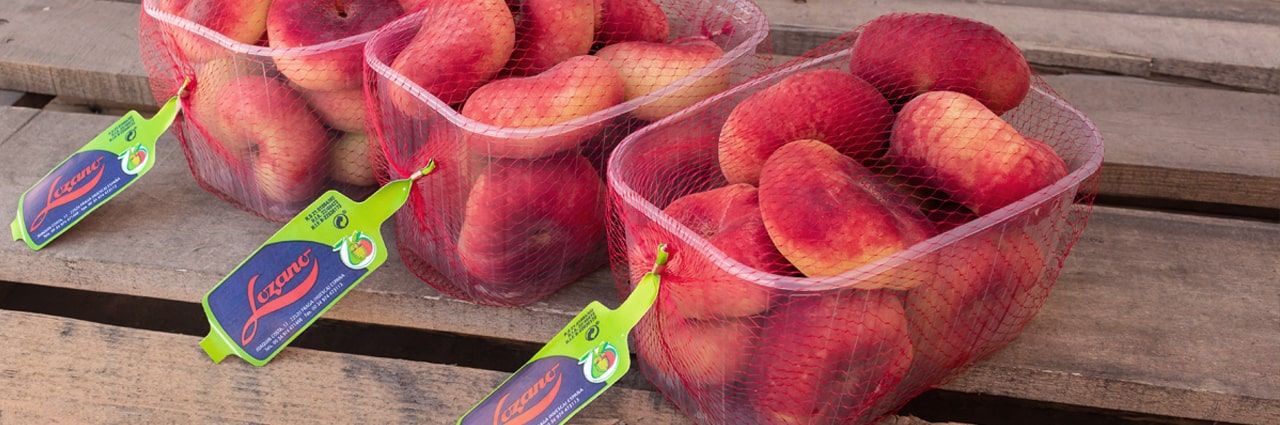 1655311173 mayorista fruta