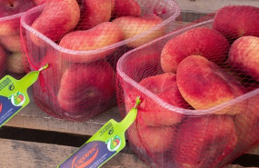 1655311173 mayorista fruta 1655311173 mayorista fruta