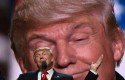 donald trump festejo donald trump festejo