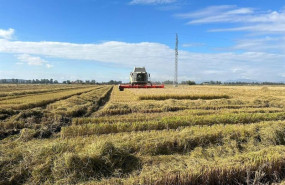 ep arroz 20251202173804