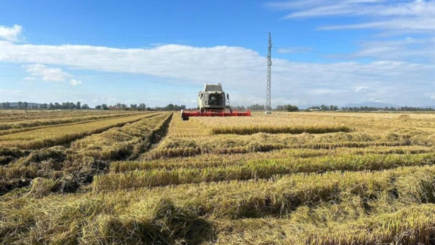 ep arroz 20251202173804