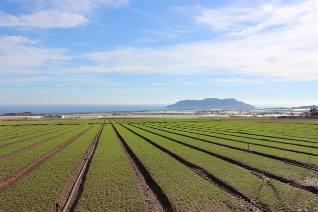 CAMPO AGRICULTURA | ASAJA ep campo agricultura