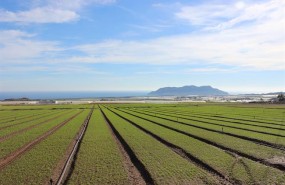 ep campo agricultura