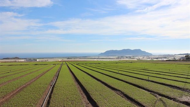 ep campo agricultura