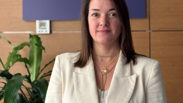 ep carola hermoso nueva directora general de la patronal siderurgica unesid