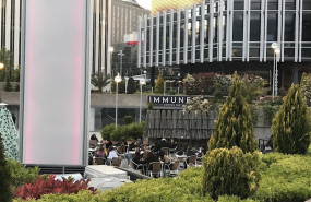 ep immune
