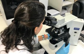 ep investigadora medica