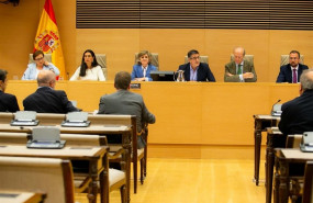 ep la ministra carcedo en la comision de sanidad del congreso