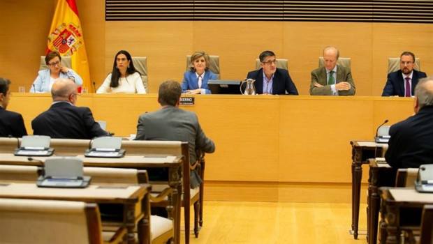 ep la ministra carcedo en la comision de sanidad del congreso