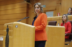 ep la senadora del psoe de la rioja maria victoria de pablo davila en la comision general de