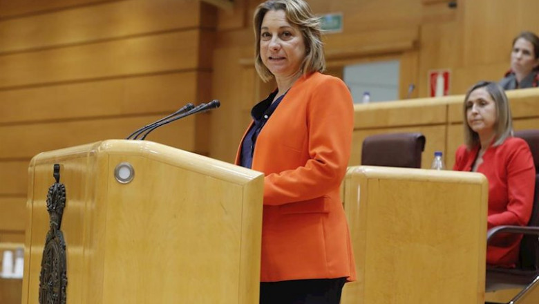 La senadora del PSOE de La Rioja María Victoria de Pablo Dávila, en la Comisión General de Comunidades Autónomas celebrada en el Senado este jueves a cuenta de la gestión de la pandemia de la COVID-19, en Madrid (España), a 30 de abril de 2020. | Pool ep la senadora del psoe de la rioja maria victoria de pablo davila en la comision general de