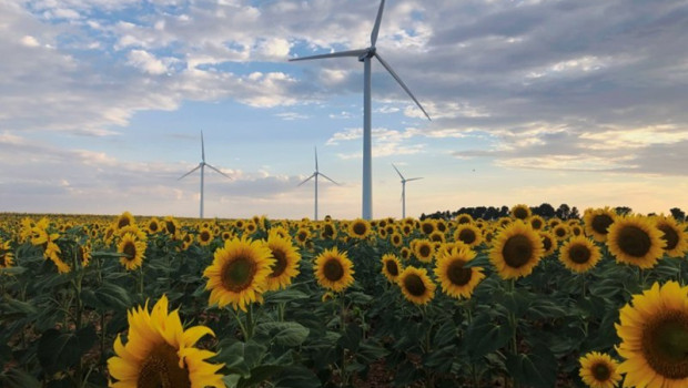 ep parque eolico de iberdrola 20231214095604