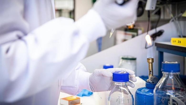 ep un equipo del csic estudia los microtubulos para impedir la propagacion del sars-cov-2 ep un equipo del csic estudia los microtubulos para impedir la propagacion del sars-cov-2
