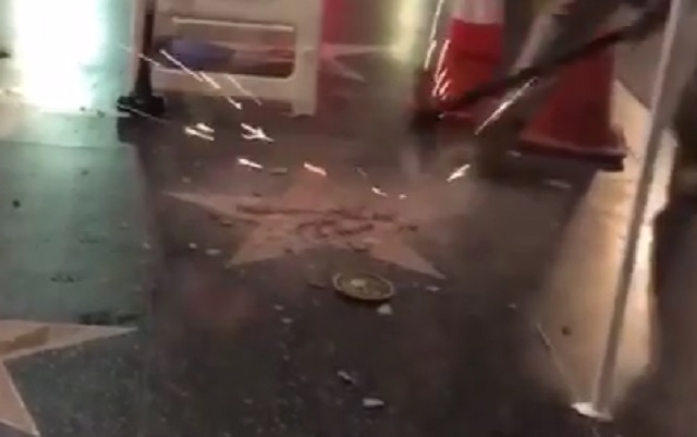 star trump star trump