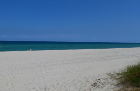 tui carnival dl beach us water ocean sea on the beach vacation tui carnival dl beach us water ocean sea on the beach vacation