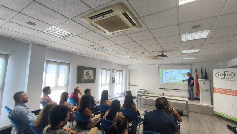 1000246883 20250925145004 