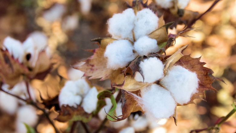 1591694106 mayoristas textiles calidad y local