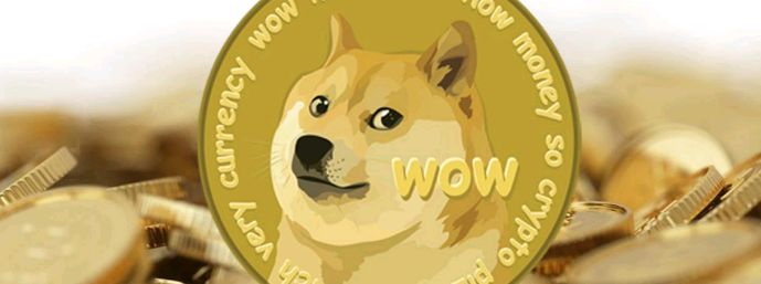 cbdogecoin3 short