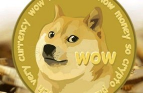 cbdogecoin3 short