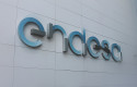 endesa logo