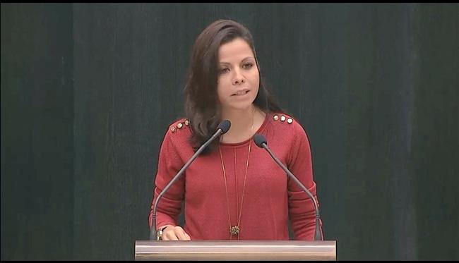 Erika Rodríguez | PSOE EN EL AYUNTAMIENTO DE MADRID ep erika rodriguez