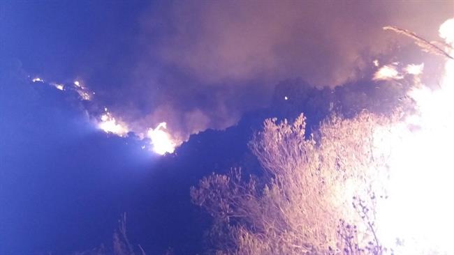 Incendio forestal en Marbella (Málaga) | EUROPA PRESS/INFOCA ep incendio forestalmarbella malaga
