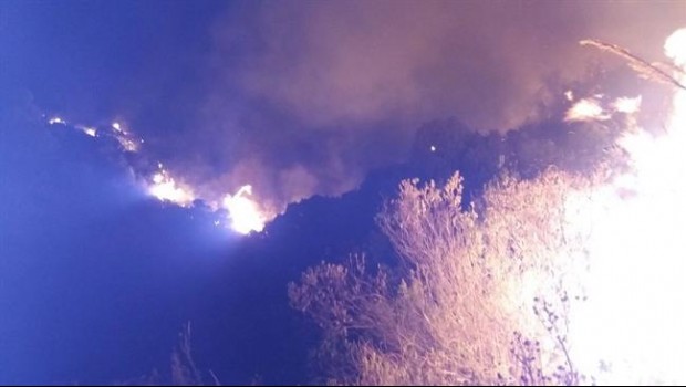 ep incendio forestalmarbella malaga