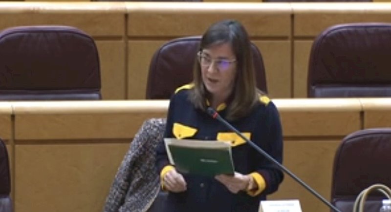 La consejera de Salud del Gobierno de La Rioja, Sara Alba, comparecde en la Comisión de Comunidades Autónomas del Senado | EUROPA PRES ep la consejera de salud del gobierno de la rioja sara alba comparecde en la comision de comunidades