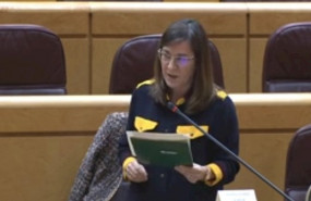 ep la consejera de salud del gobierno de la rioja sara alba comparecde en la comision de comunidades