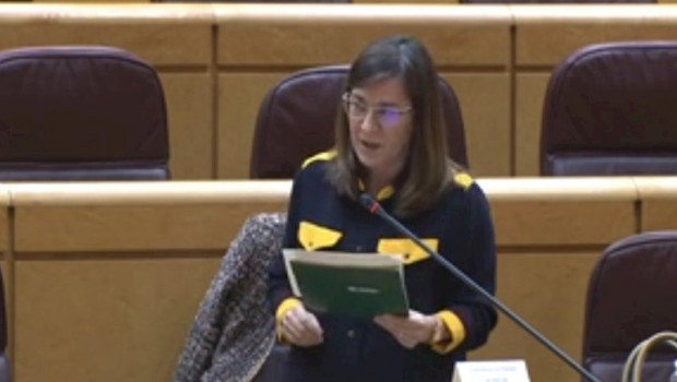 ep la consejera de salud del gobierno de la rioja sara alba comparecde en la comision de comunidades