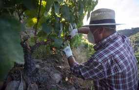ep las organizaciones agrarias llevan ante la aica los incumplimientos de contrato que hacen las