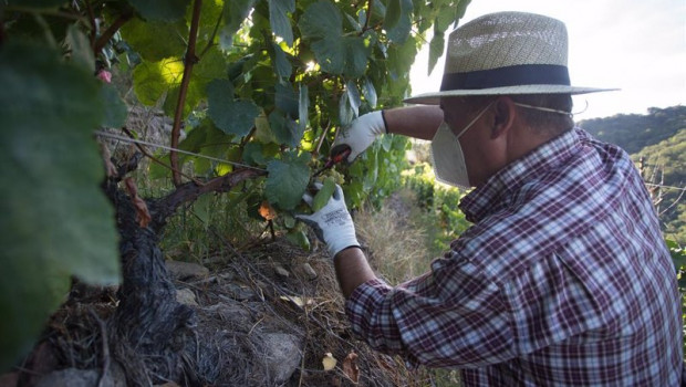 ep las organizaciones agrarias llevan ante la aica los incumplimientos de contrato que hacen las