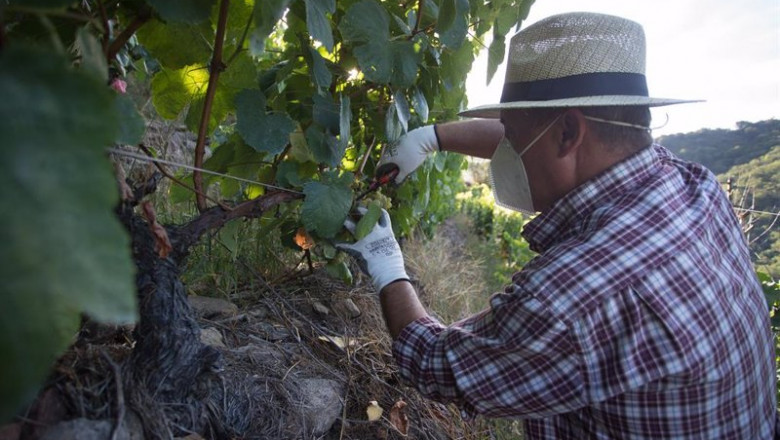 ep las organizaciones agrarias llevan ante la aica los incumplimientos de contrato que hacen las